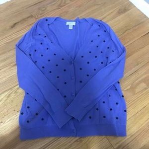 Loft Sweater